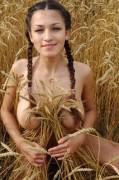 Harvest time (xpost r/wwwtw)