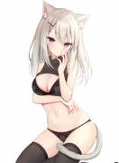 Cute cat girl in super cute lingerie