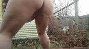 Taking a piss in my neighbors yard