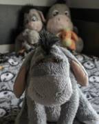 Everyone, say hello to Eeyore! He saids thank you for noticing him.