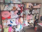 a peak at a portion of my stuffie collection !!