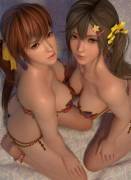 Kasumi and Misaki (RadiantEld) [Dead or Alive]