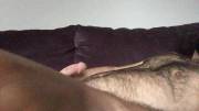 Horny, moaning cumshot