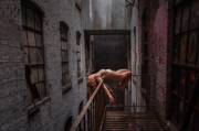 Beauty and Decay