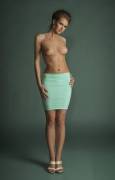 Pencil skirt no shirt