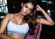 Disha Patani's Latest in her Calvins