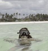 Snorkeling