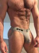 fit and furry