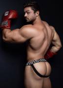 boxer