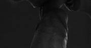 Rotating tongue on dick