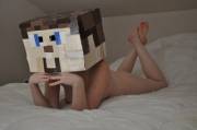 The secret li[f]e of Minecraft Steve