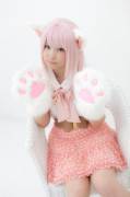 Cute [Album]