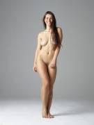 Yara HD