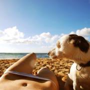 Man's best friend