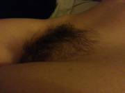 [F] Bush is Back