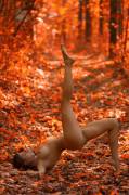 Autumn frolic - Photo by Posza Robert