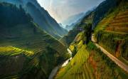 Asian mountain farms.