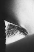 Trimmed
