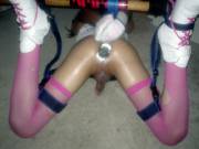 A sissy in pink stockings plugged and tied up... anyone know source?