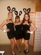 Bunnies