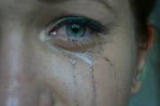 concentrate
