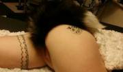 My Sexy Tailplug Album :)