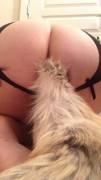 Playful pet posing [f]