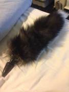 Any ideas what I can wear with my tail?