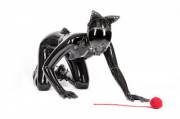 Space kitten stalks it's prey...