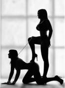 Silhouette (xpost from /r/lesdom)