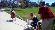 My Pup pulling a dog sled in the park