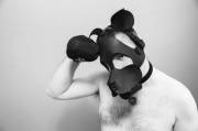I took some photos of my pup...
