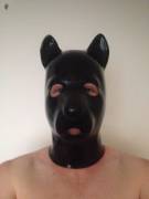 my puppy hood