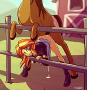 Sunset Shimmer fucked by a horse [equestria_girls interspecies] (artist: kanashiipanda)