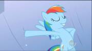 Apparently too hot for the mane sub... A screenshot of Rainbow Dash with her hoof in a dyke. [S02E08]
