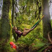 Hammock