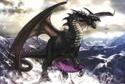 Dragon, 436, seeks car