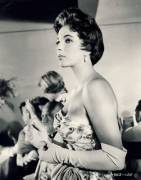 Joan Collins Gallery