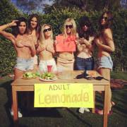 Adult Lemonade stand