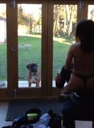 We hired a stripper for a mates birthday, our dog was more than confused. [xpost /r/funny]