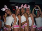 Pink Bunnies (/r/Groups/)