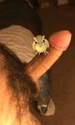 [M]other fuckin pidgeys are everywhere