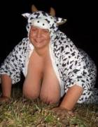 bbw cow