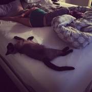 Meg Turney sleeping (X-post r/runningshorts)