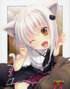 I have seen many nekos, all cute, but not any Koneko. So here's an album.