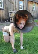 Cone of Shame