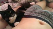 Bulge and kitty