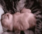 Daddy when I'm being fussy...