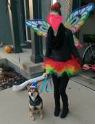 Me and my pup tonight on halloween! I felt so little!