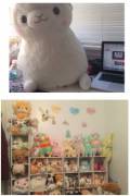 Daddy says I'm severely addicted to alpacassos and plushies!